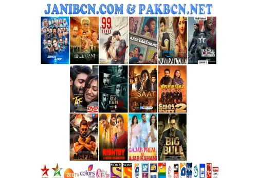 2017 punjabi movies jani bcncom Latest Punjabi