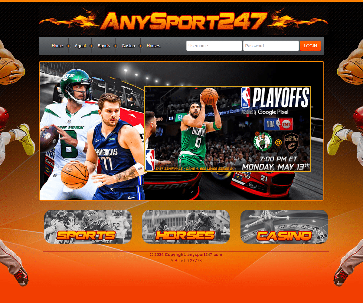 anysport247.com