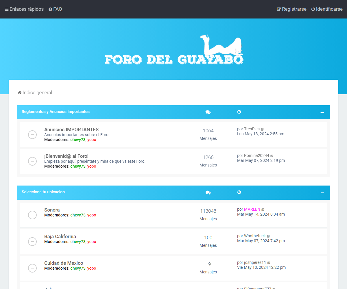 forodelguayabo.com