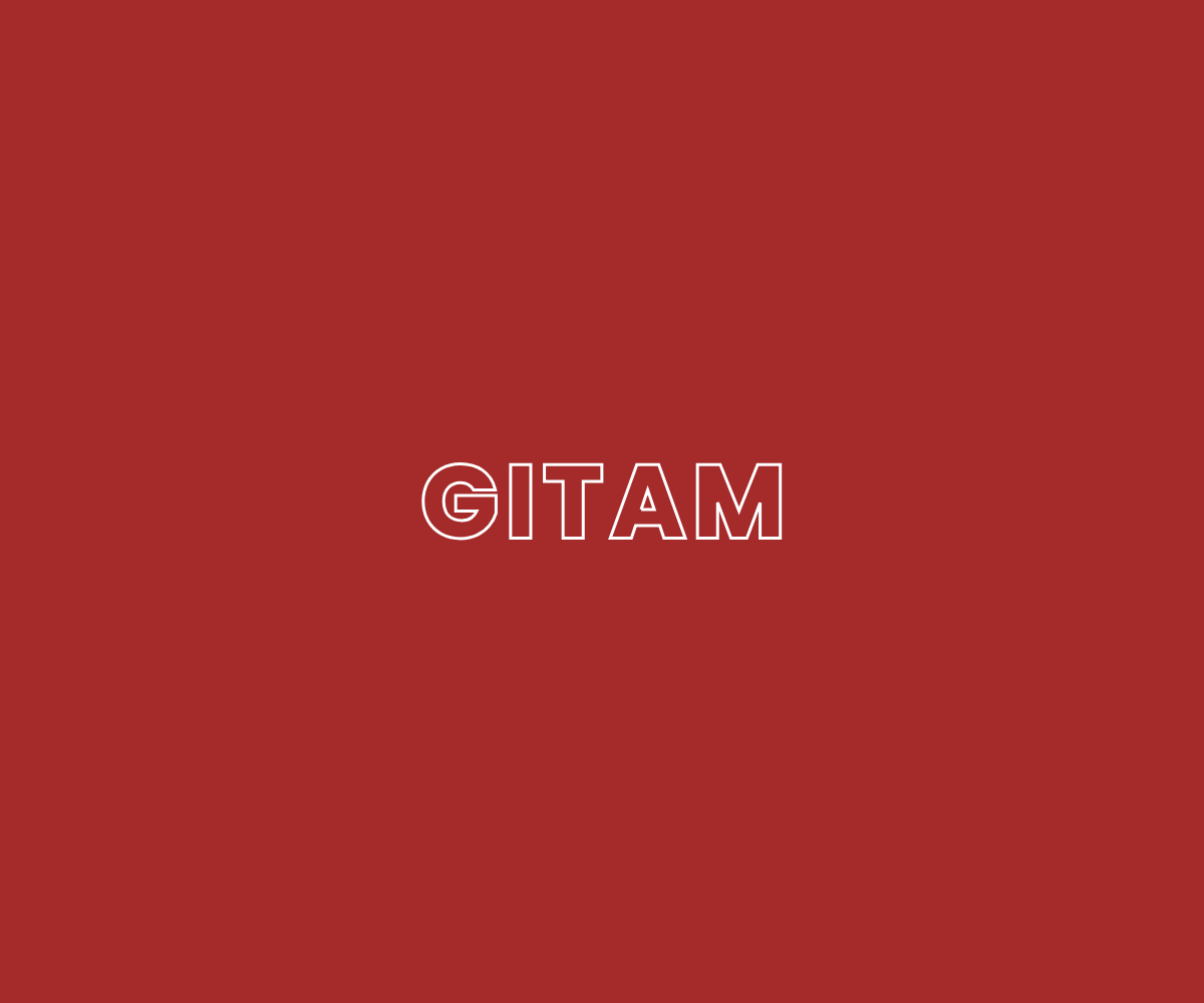 gitam.edu