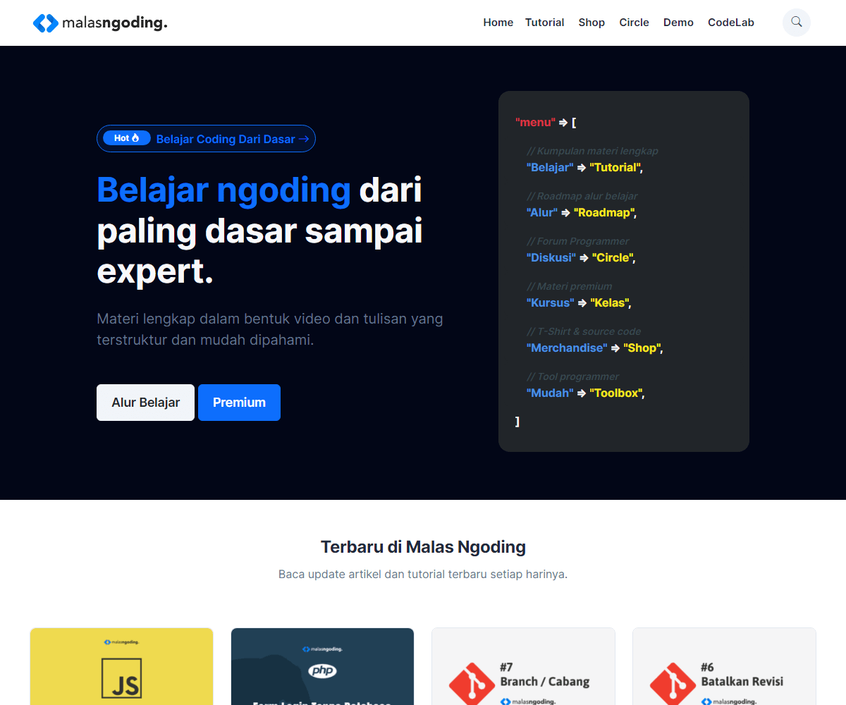 malasngoding.com