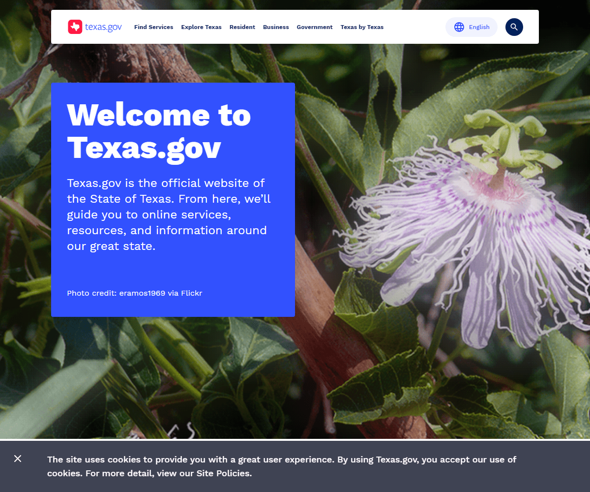 texas.gov