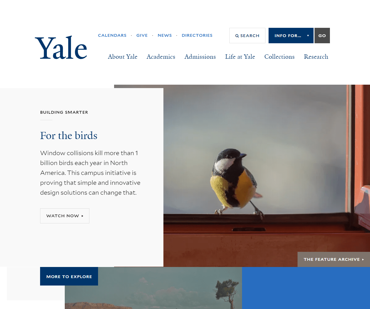 yale.edu